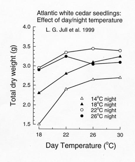 AWC Day Night Temp vs dry weight graph