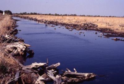 East West Canal at PLNWR