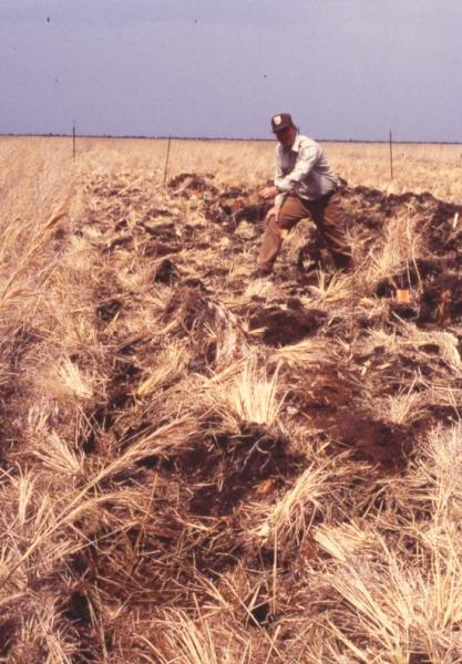 Heavy disking on PLNWR (Jim Savery - Refuge Manager)